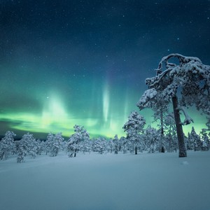 winter landscape with snow and northern lights